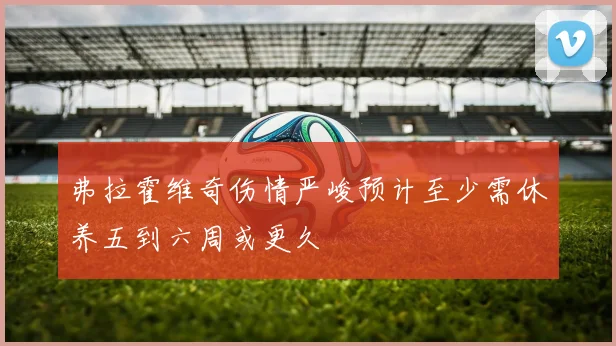 弗拉霍维奇伤情严峻预计至少需休养五到六周或更久