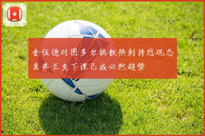 舍伍德对图多尔执教热刺持悲观态度弗兰克下课已成必然趋势