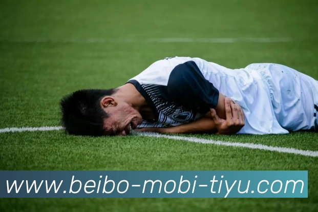 贝博体育品牌故事