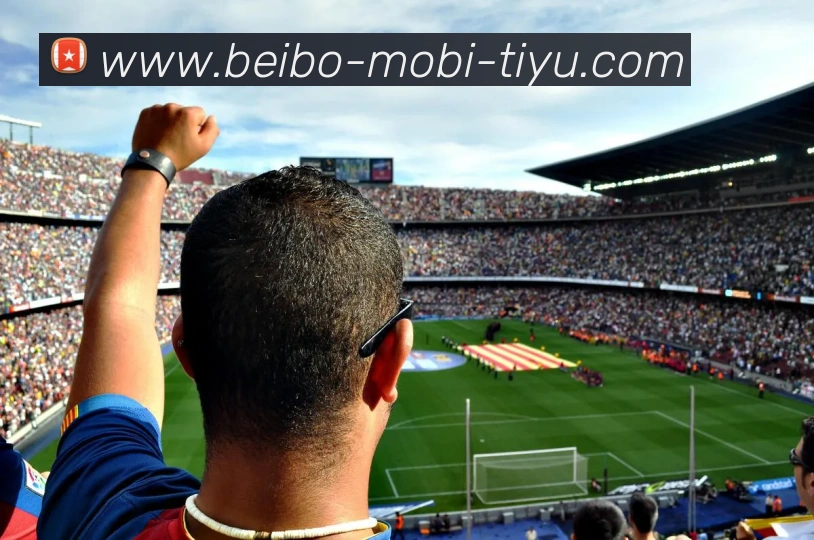 贝博体育APP 体育赛事宣传图